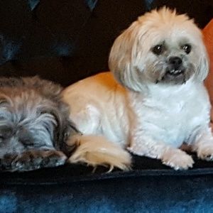 Meet your Posher, Cindy